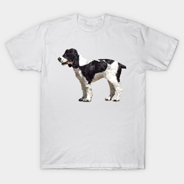 Black and White Spaniel T-Shirt by SusanSavad